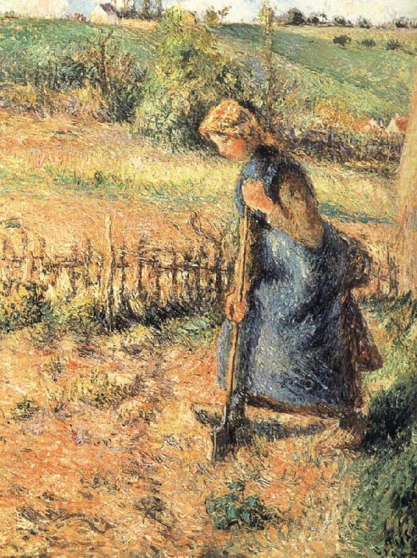 Camille Pissarro The collection of hay farmer china oil painting image